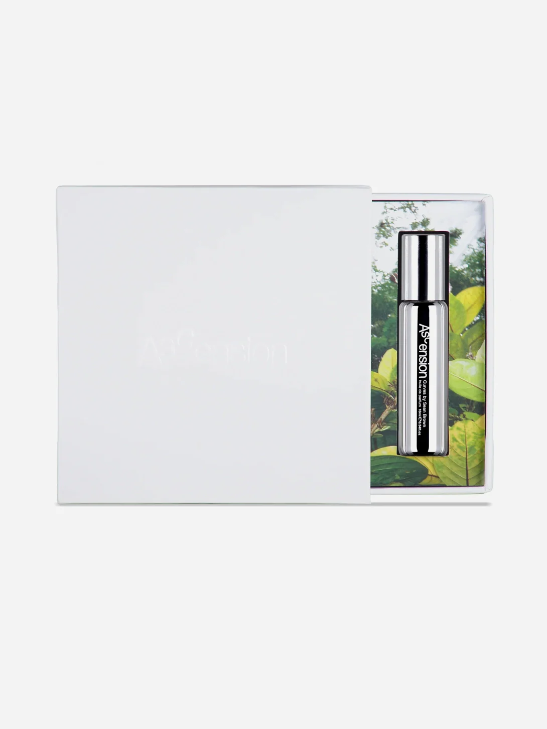 Ascension Fragrance Oil - Image 3